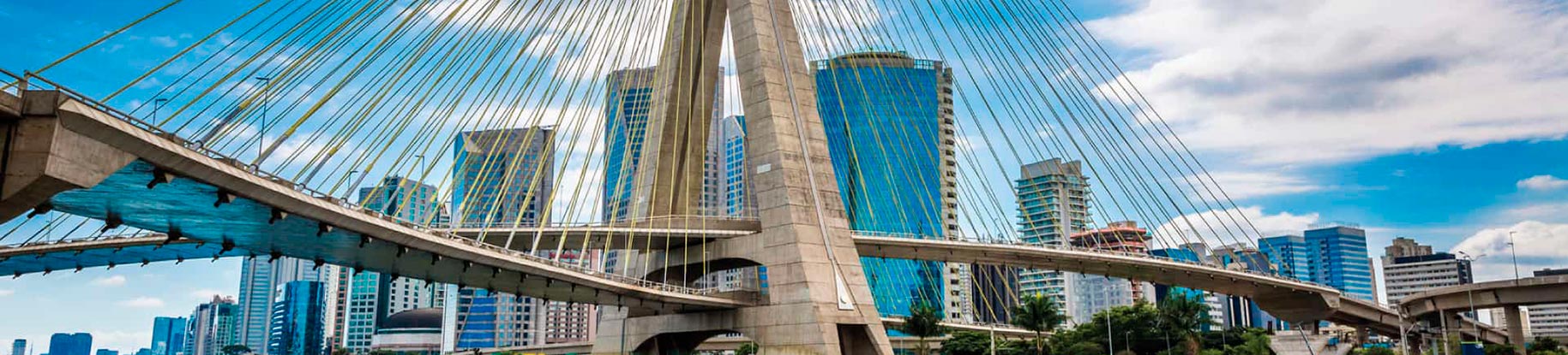 Eizirik em São Paulo